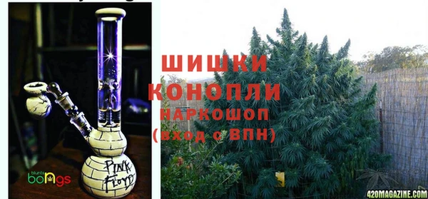 дурь Алзамай