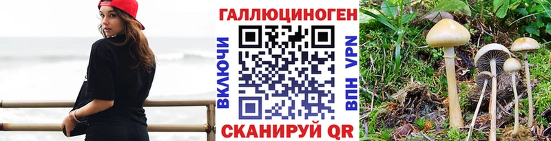Галлюциногенные грибы Cubensis  Мирный 
