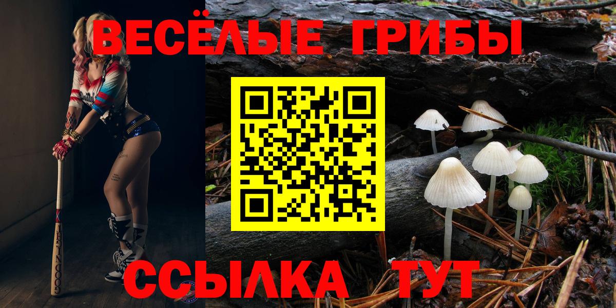 Галлюциногенные грибы ЛСД  Псилоцибиновые грибы Cubensis  наркота  Мирный  Вход с VPN 